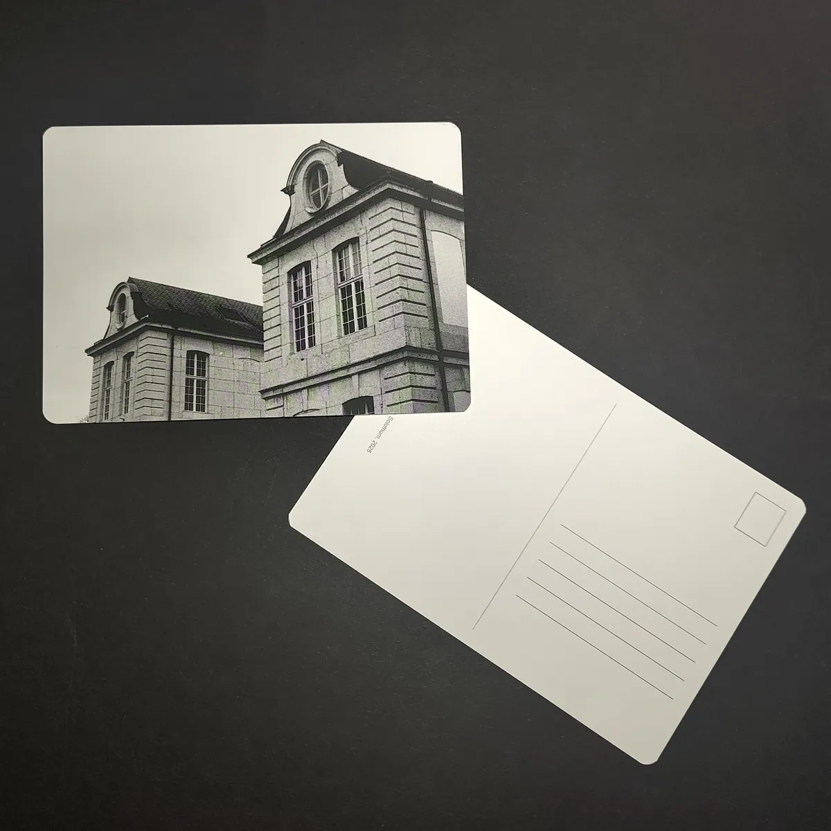 July Postcard - Black-and-white view of the Baroque dormers and roofline of Palais Besenval in Solothurn
